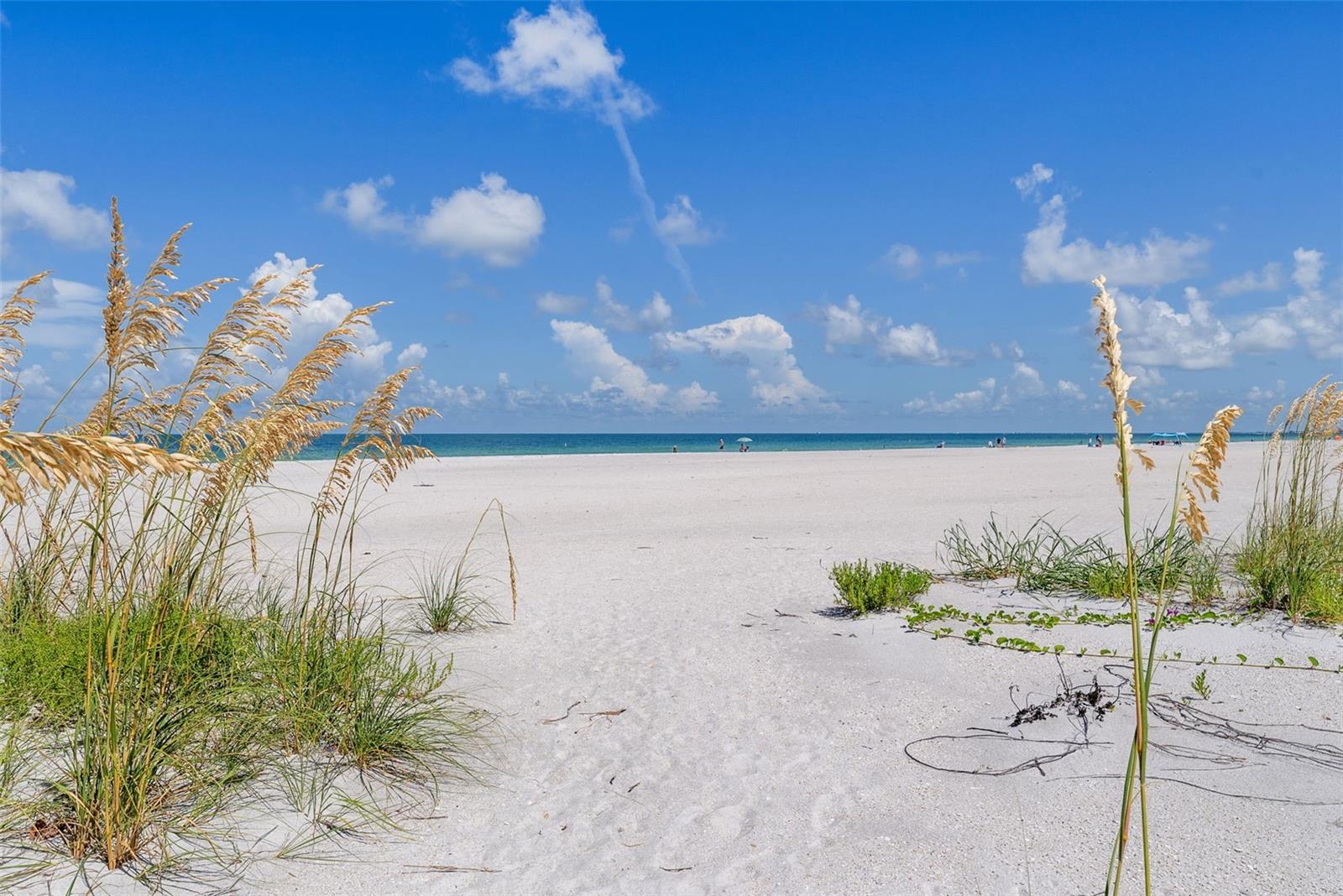 Image 5 of 45 For 1390 Gulf Boulevard 302