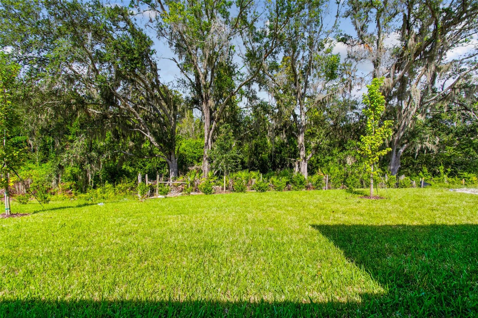 Image 47 of 52 For 31537 Hayman Loop