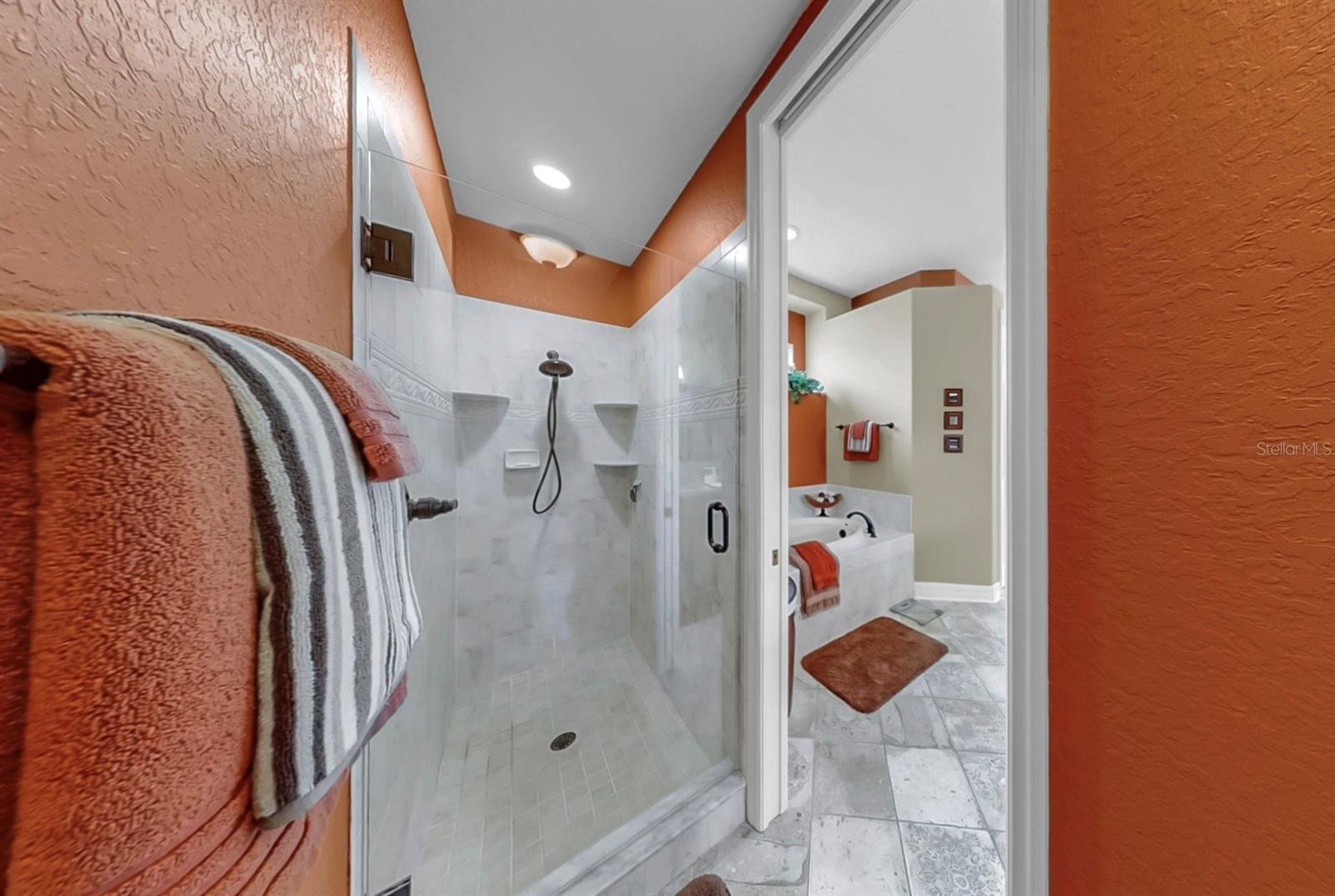 Listing photo id 21 for 13342 Trailing Moss Drive