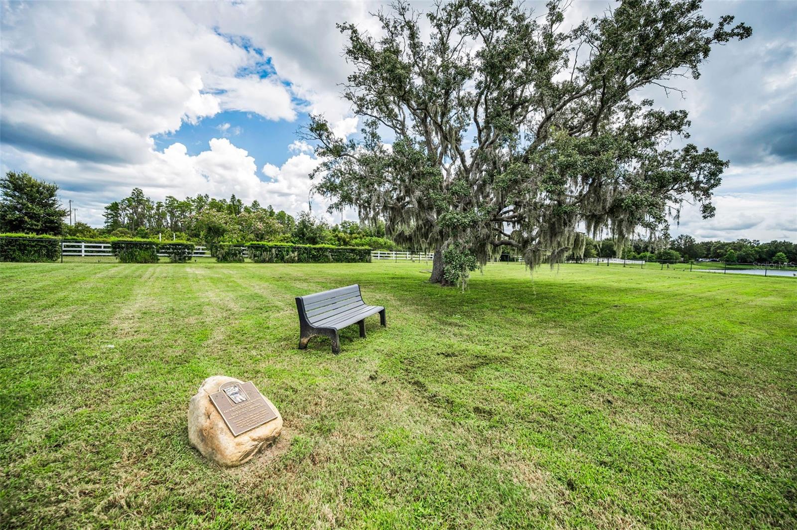 Image 31 of 32 For 8755 Prairie Creek Drive