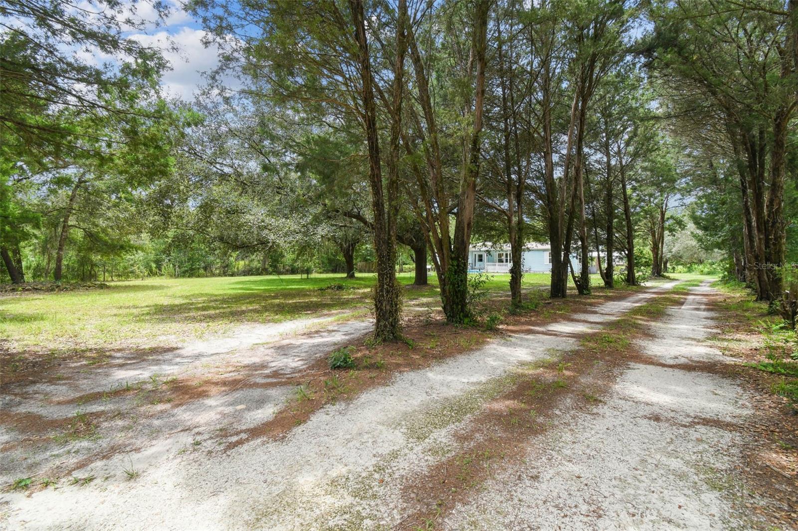 Image 5 of 96 For 4291 Mandrake Point