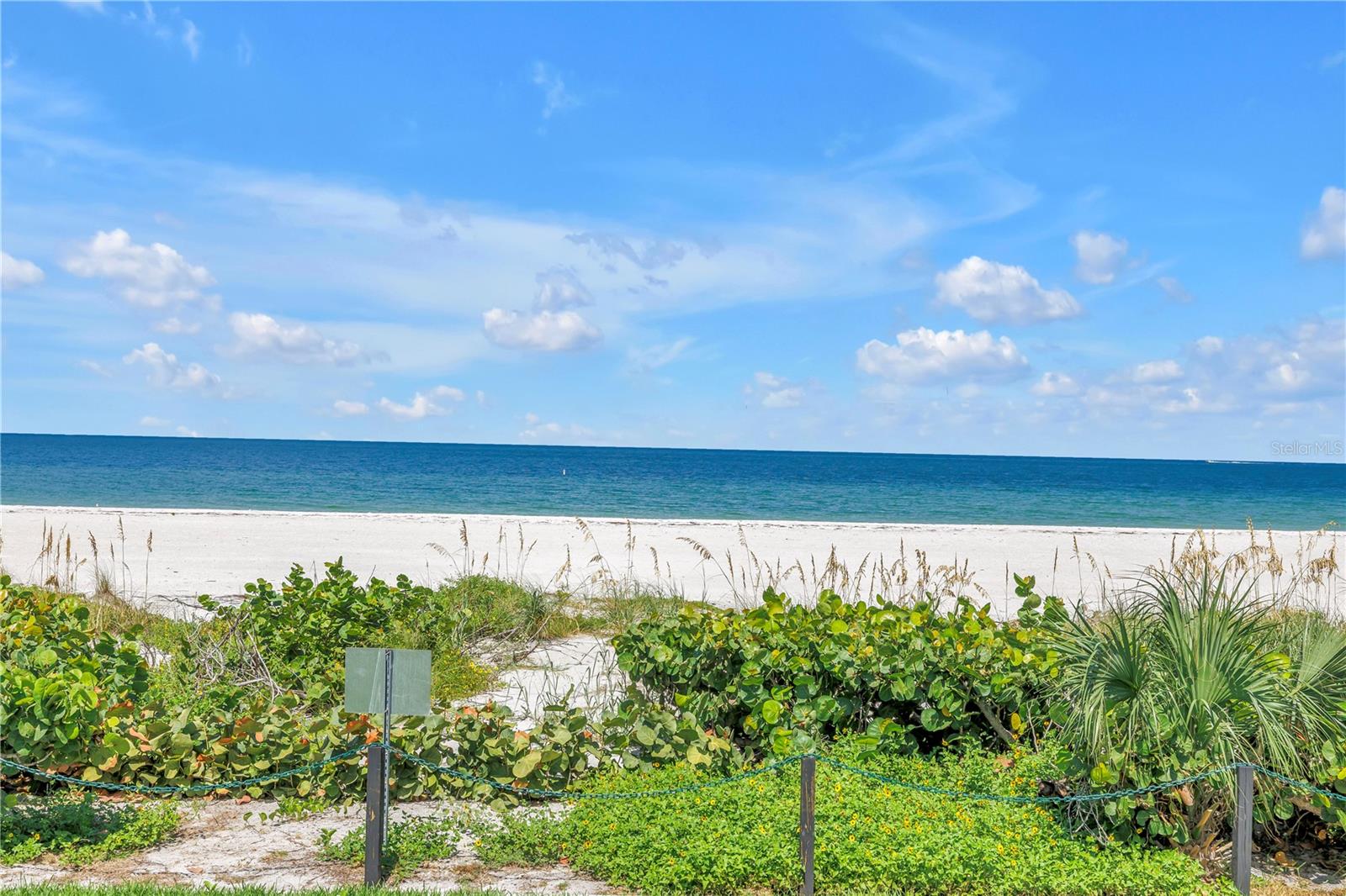 Image 44 of 57 For 1520 Gulf Boulevard 906
