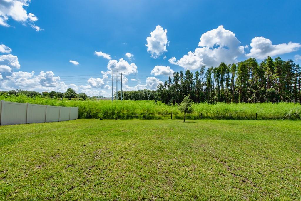 Image 36 of 53 For 14529 Woodland Spur Drive