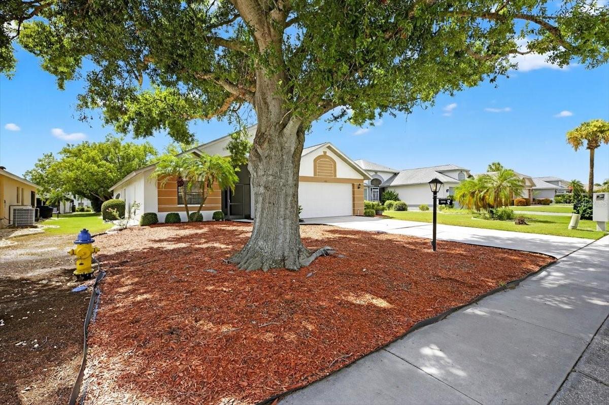Image 39 of 54 For 1828 Del Webb Boulevard