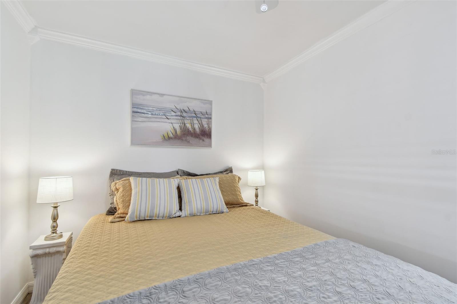 Image 28 of 82 For 12651 Seminole Boulevard 2i