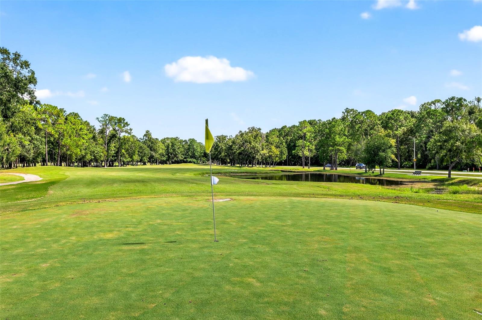 Listing photo id 57 for 16469 Turnbury Oak Drive