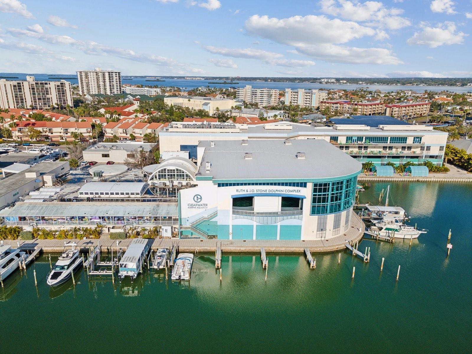 Image 41 of 44 For 880 Mandalay Avenue C613