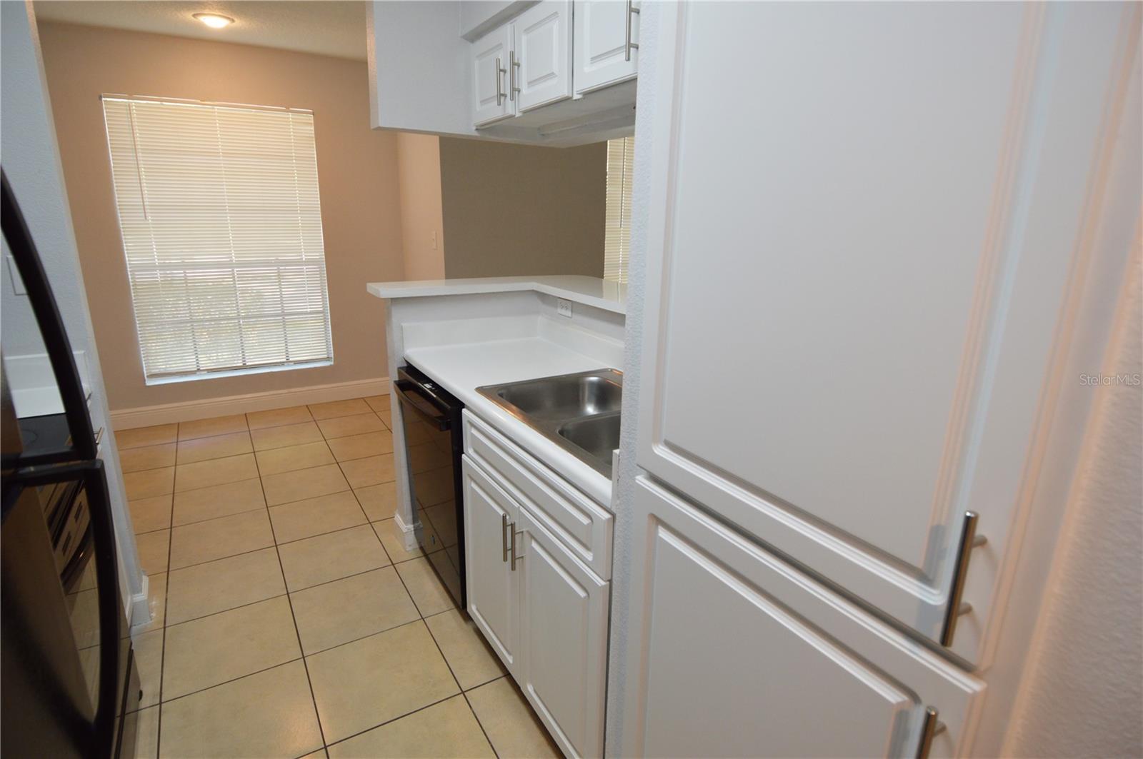 Image 14 of 96 For 8649 Fancy Finch Drive 102