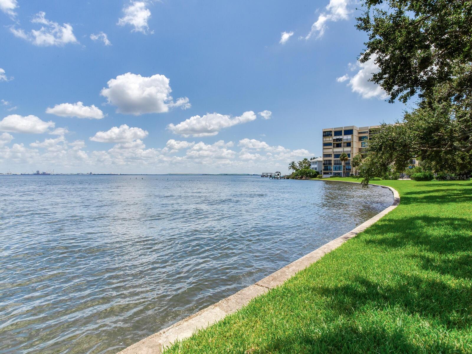 Listing photo id 37 for 5010 Bayshore Boulevard 7
