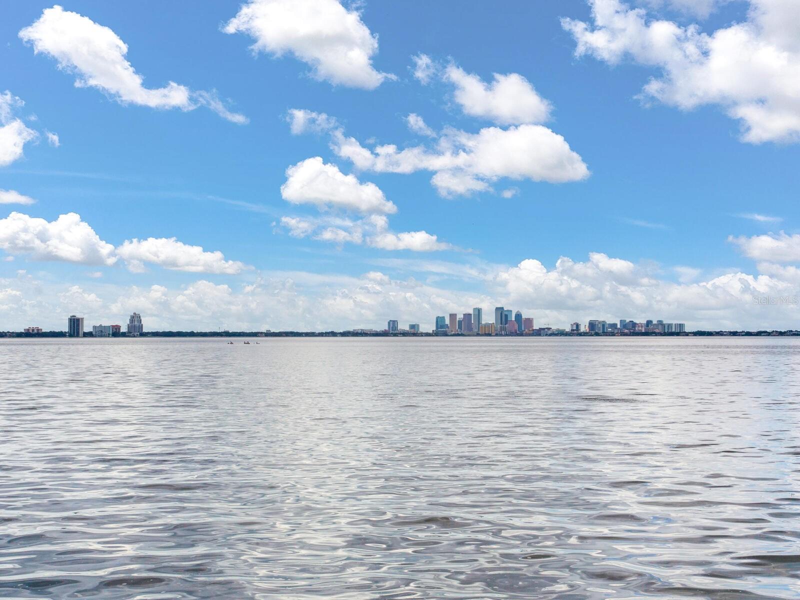 Listing photo id 38 for 5010 Bayshore Boulevard 7