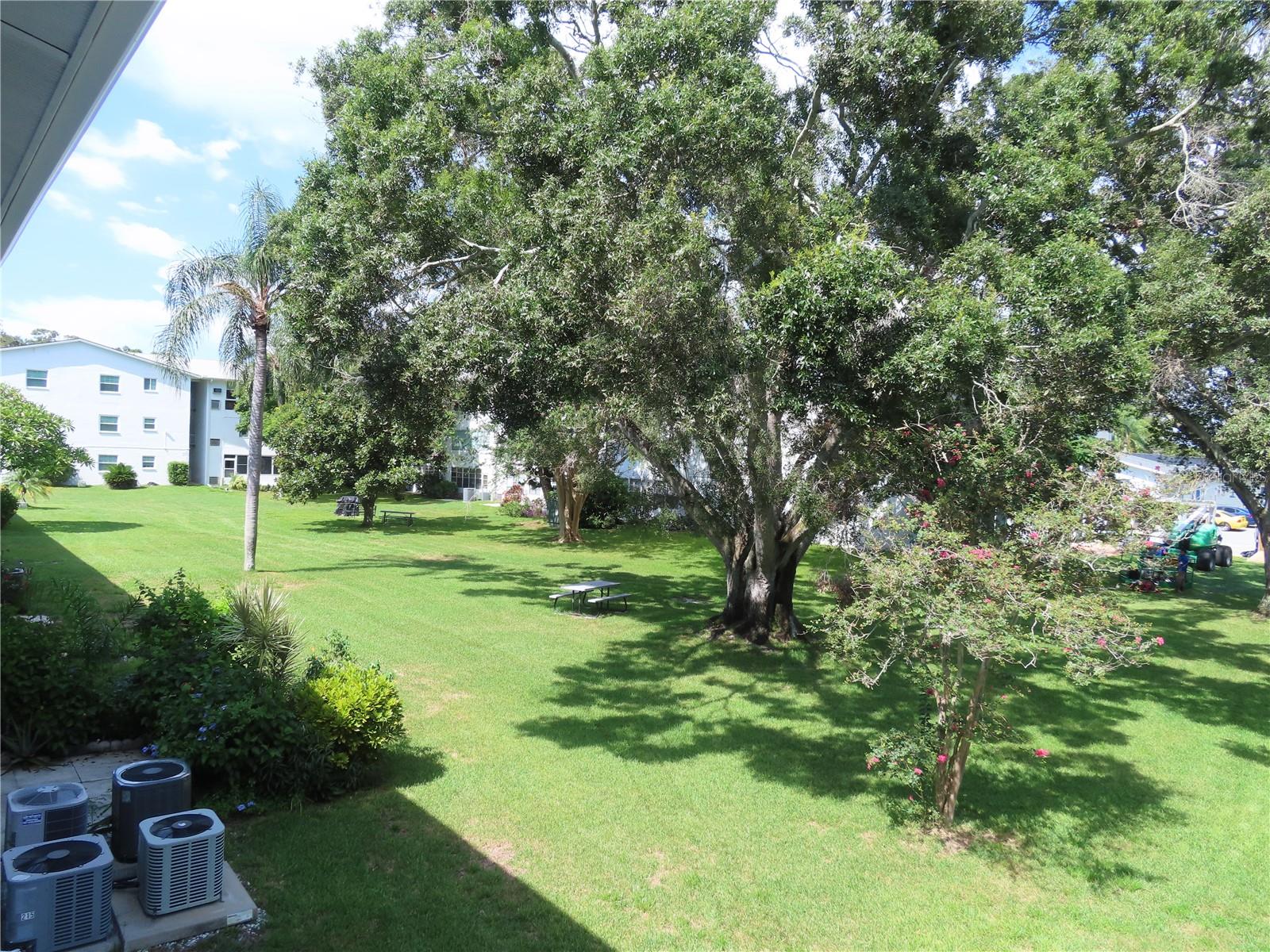 Image 3 of 16 For 300 Clyde Lane 207