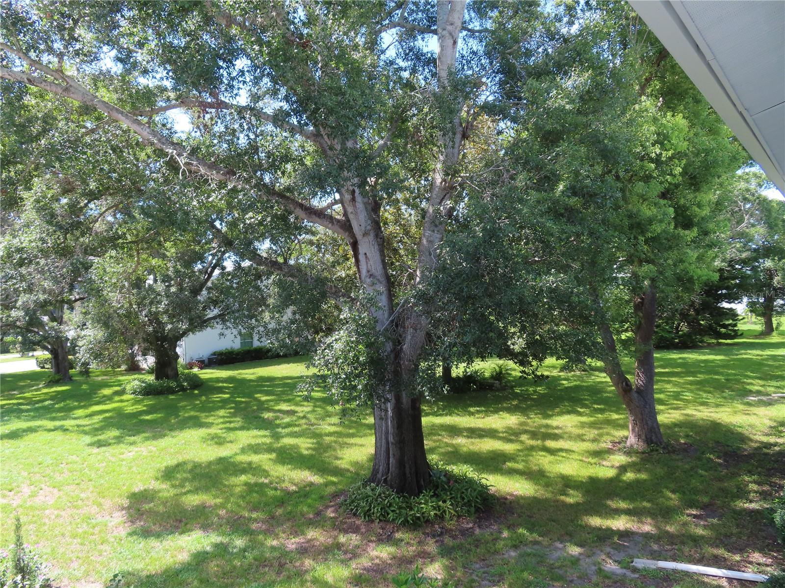Image 5 of 16 For 300 Clyde Lane 207