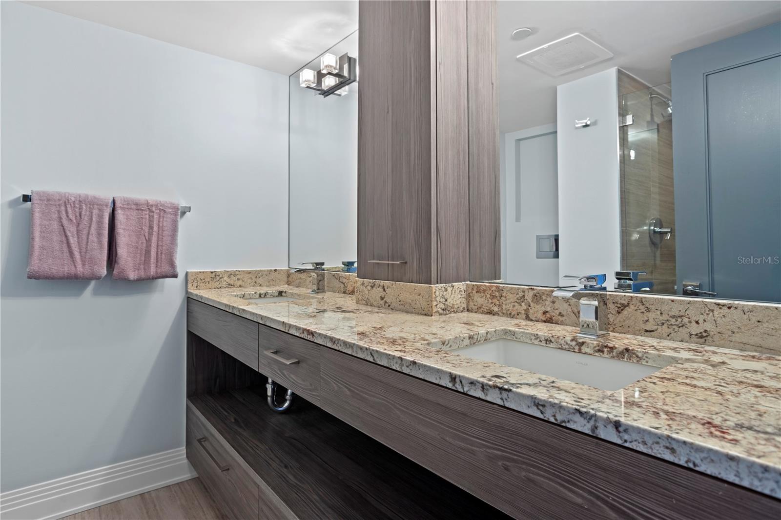 Image 57 of 79 For 3301 Bayshore Boulevard 2207b