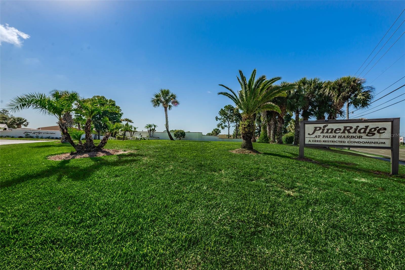 Image 40 of 65 For 2666 Pine Ridge Way N C2