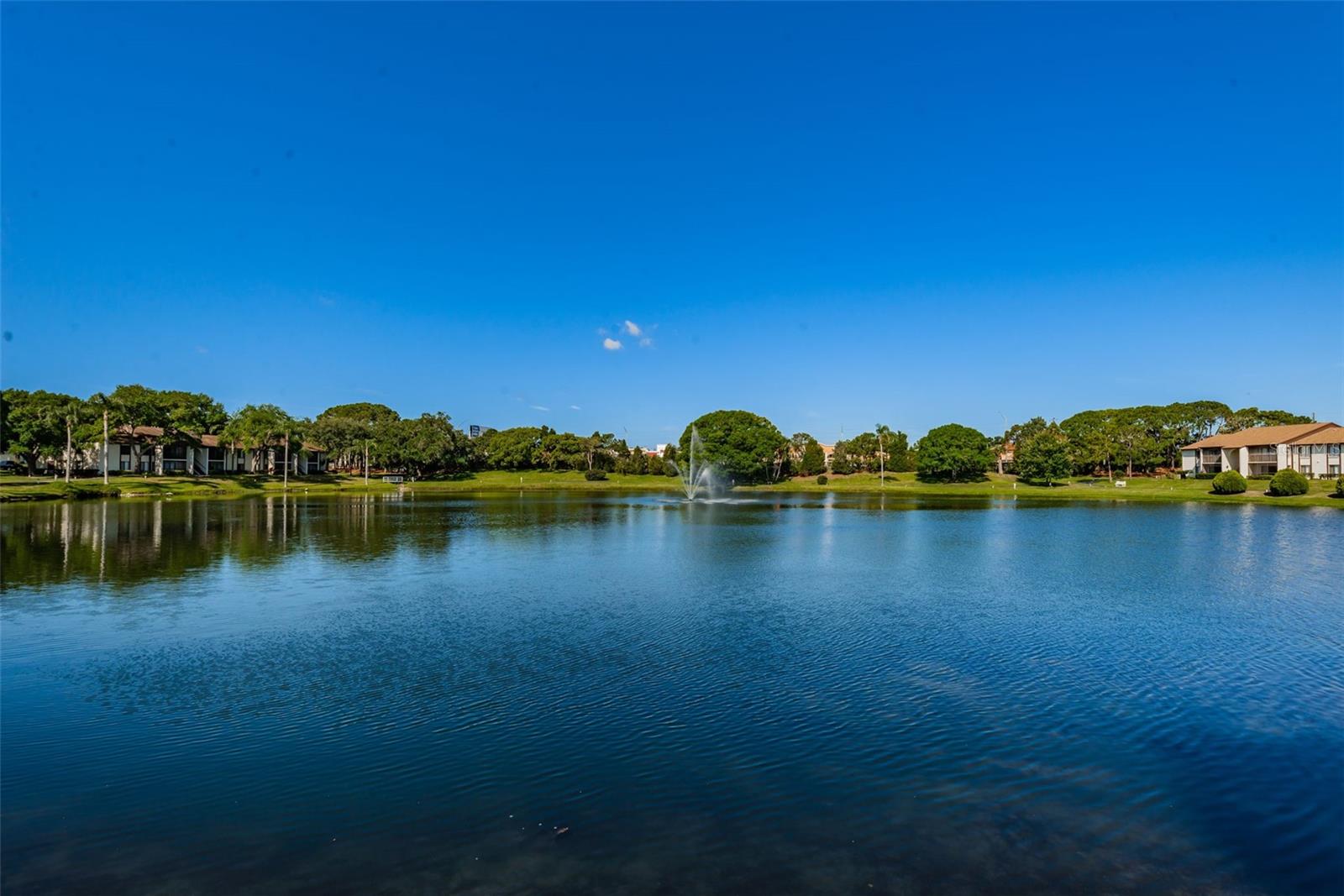 Image 53 of 65 For 2666 Pine Ridge Way N C2