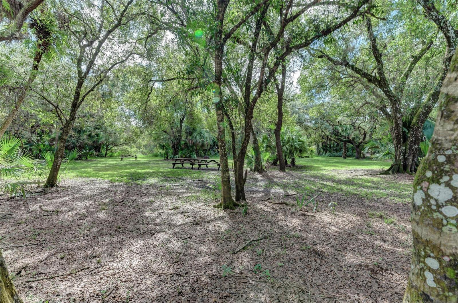 Image 56 of 86 For 8172 Boca Grande Avenue