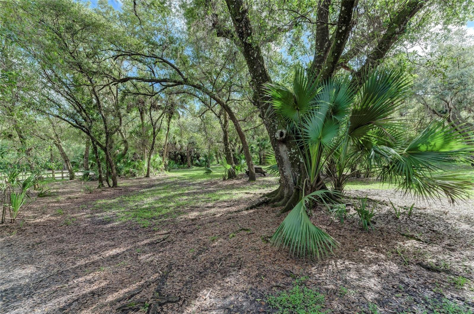 Image 57 of 86 For 8172 Boca Grande Avenue