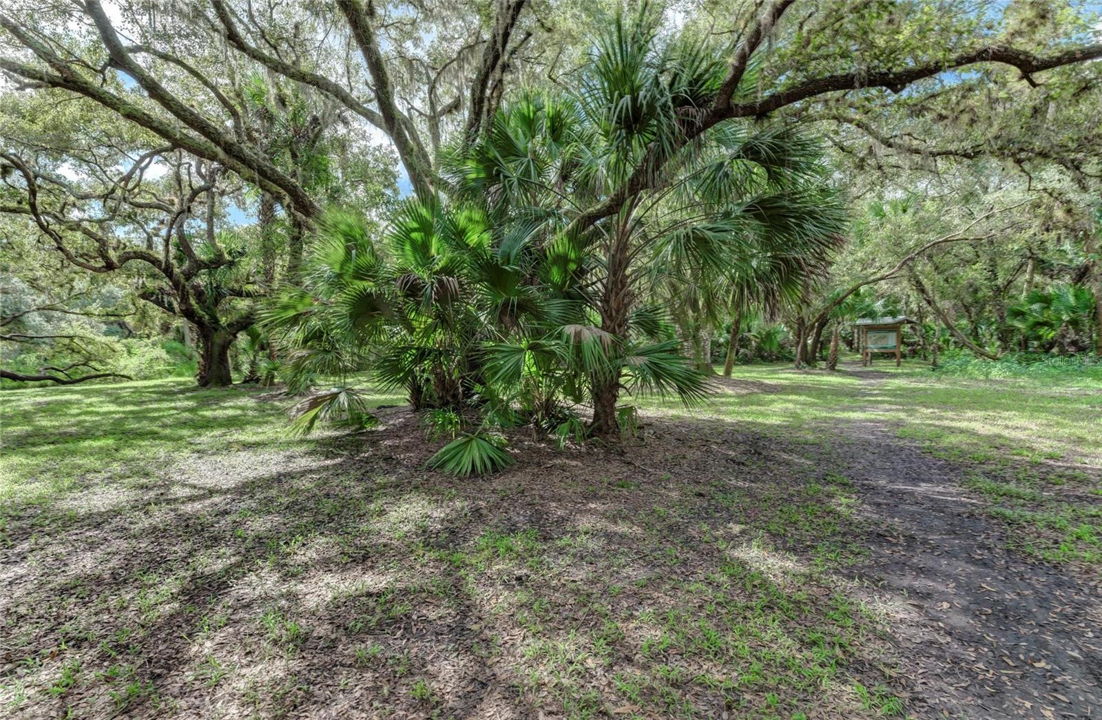 Image 58 of 86 For 8172 Boca Grande Avenue