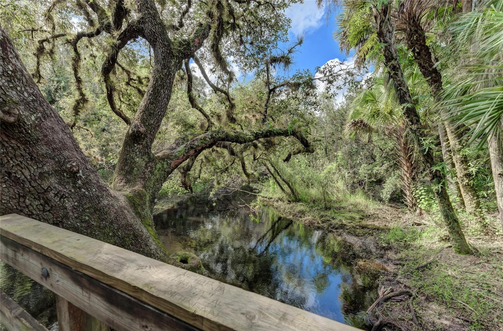 Image 65 of 86 For 8172 Boca Grande Avenue