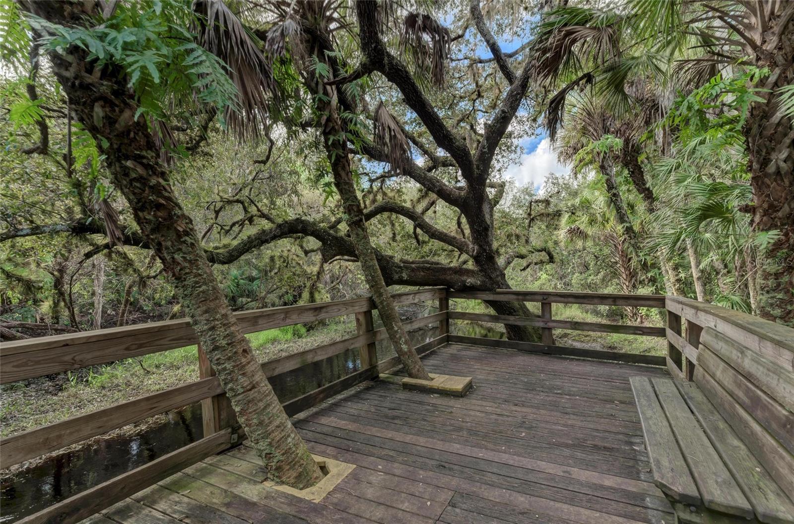 Image 66 of 86 For 8172 Boca Grande Avenue
