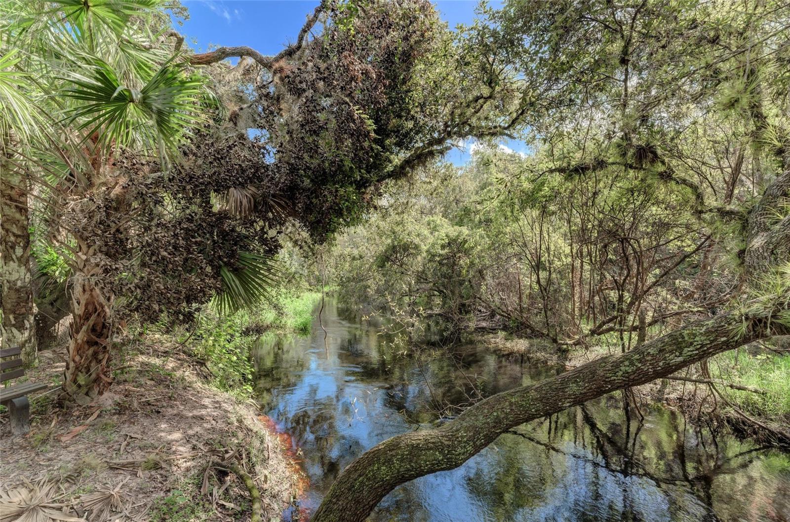 Image 68 of 86 For 8172 Boca Grande Avenue