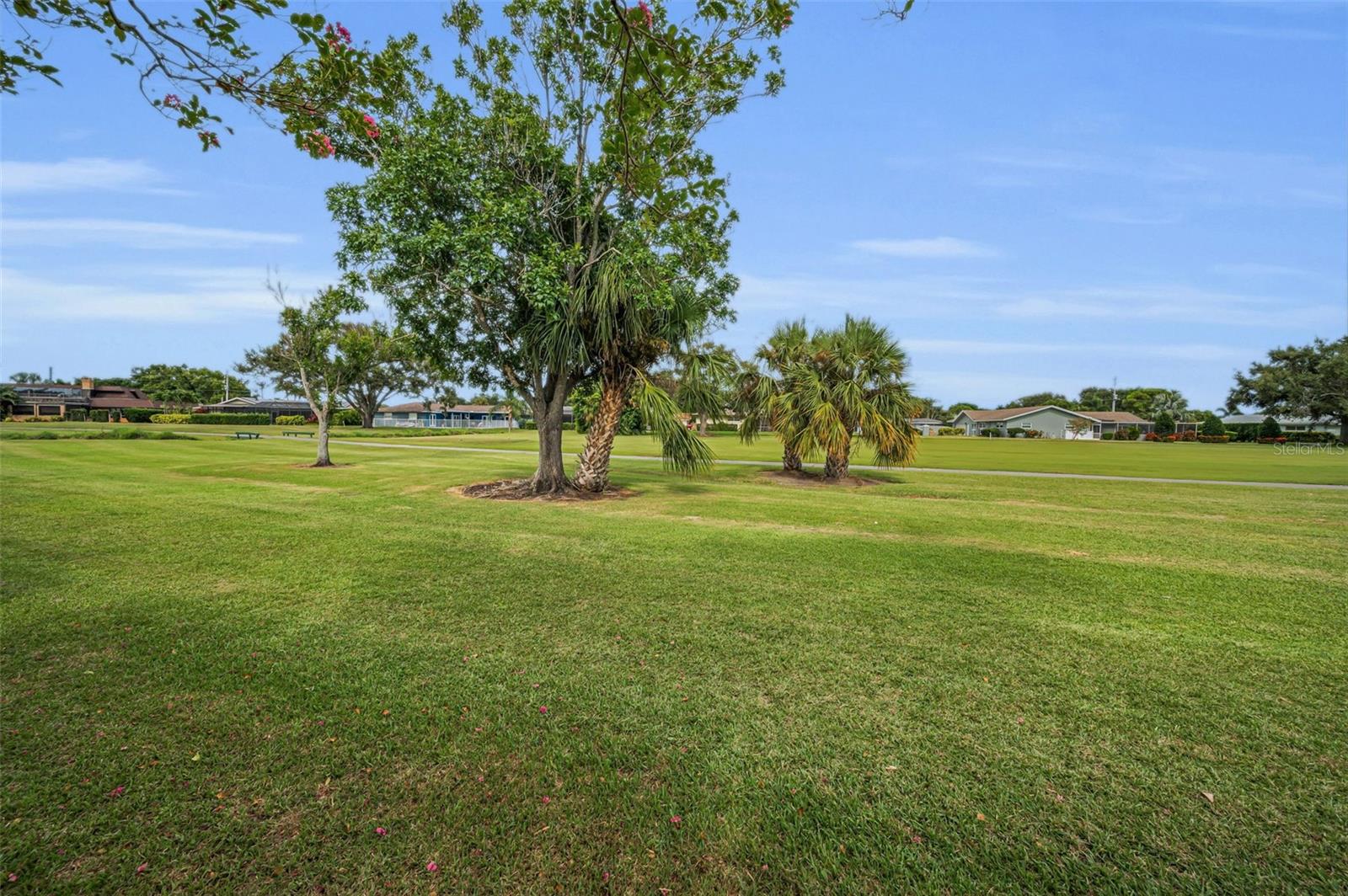Image 16 of 47 For 6561 Golden Horseshoe Drive