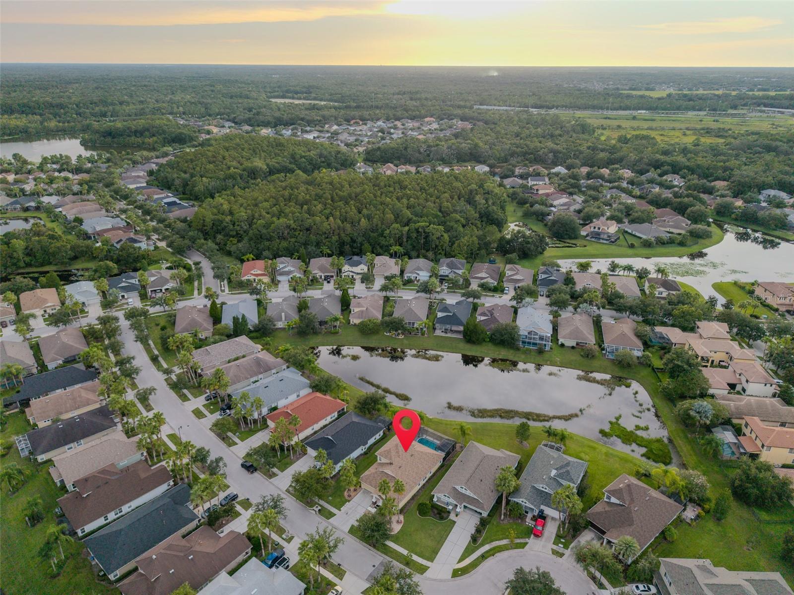 Listing photo id 36 for 8118 Camella Lane