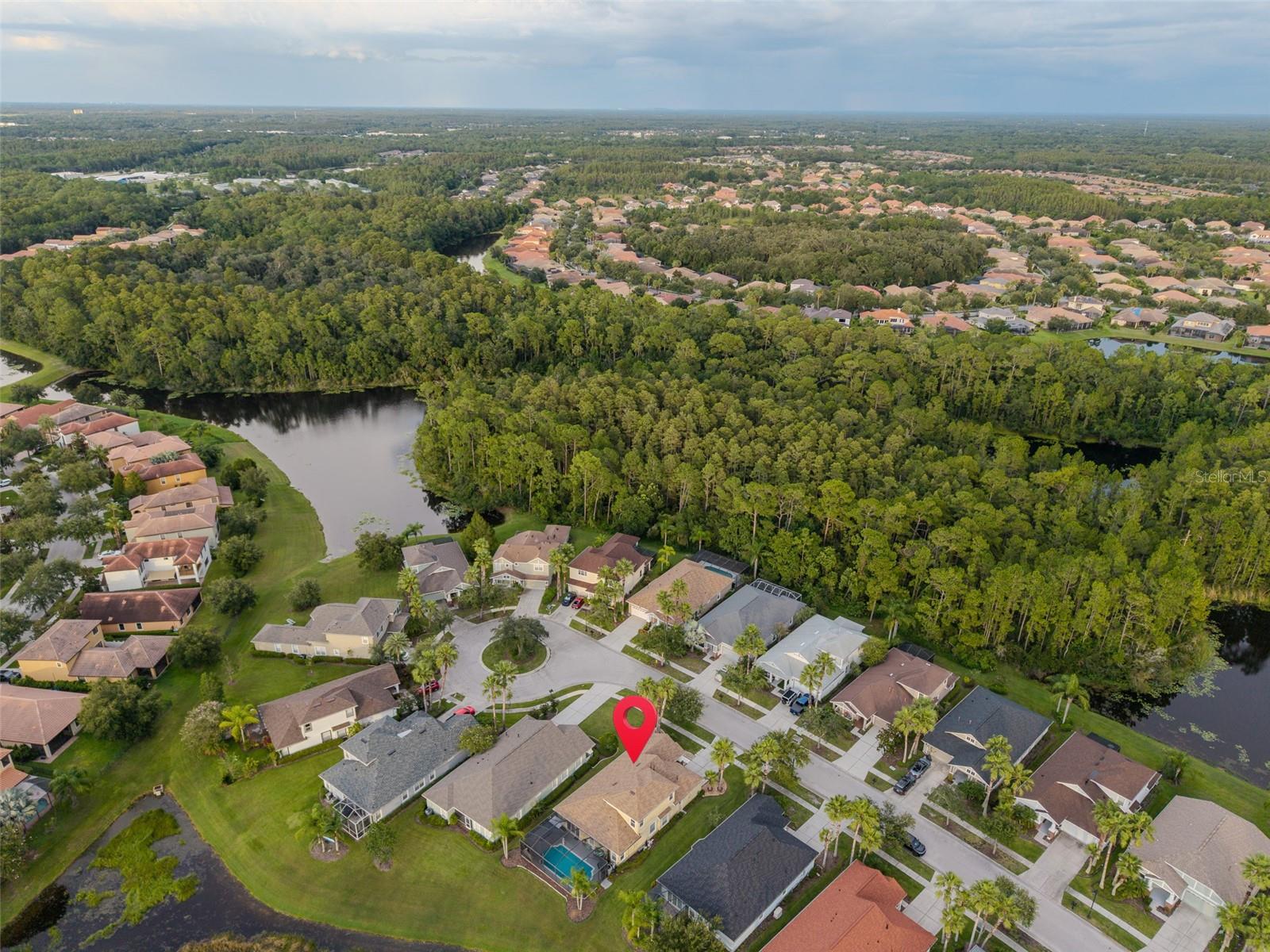 Listing photo id 38 for 8118 Camella Lane