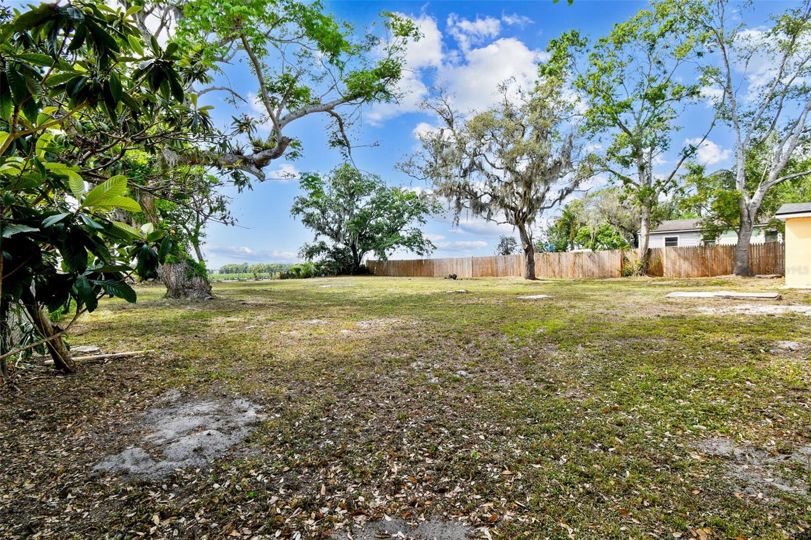 Listing photo id 5 for 3414 Lindsey Street