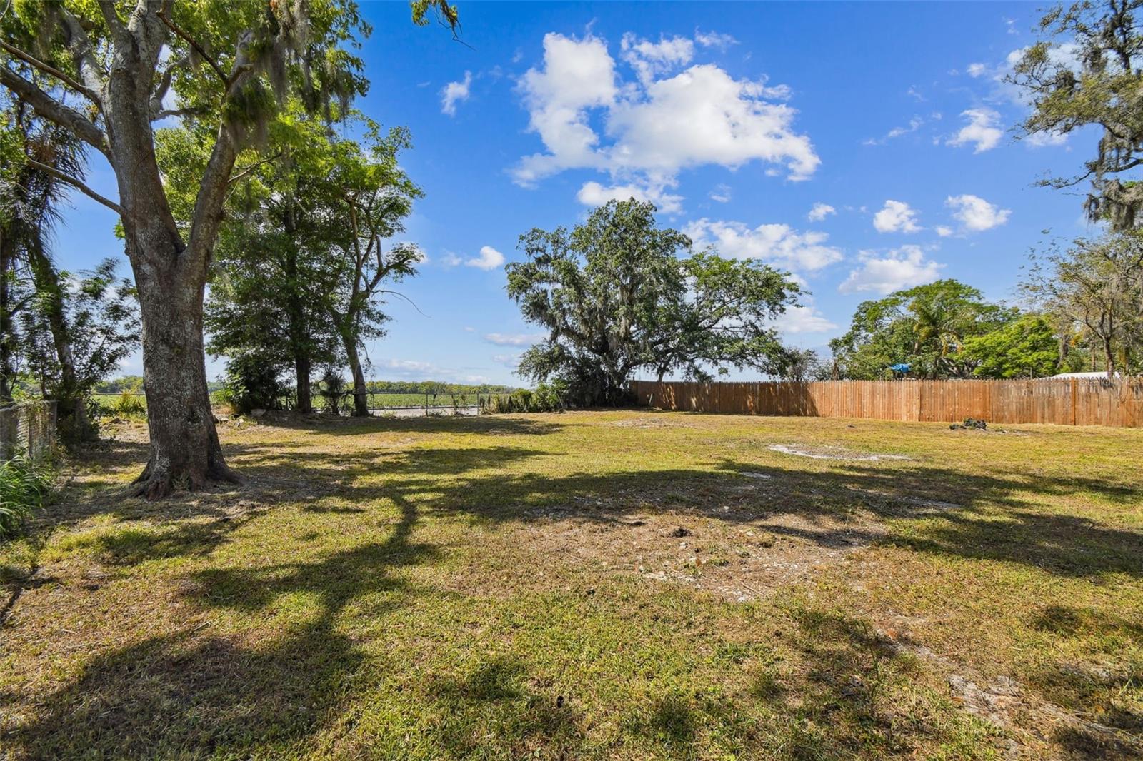 Listing photo id 6 for 3414 Lindsey Street
