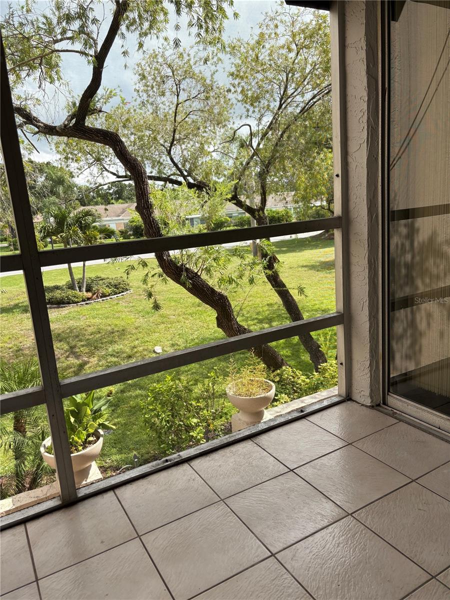 Image 12 of 18 For 209 Cordova Green 209
