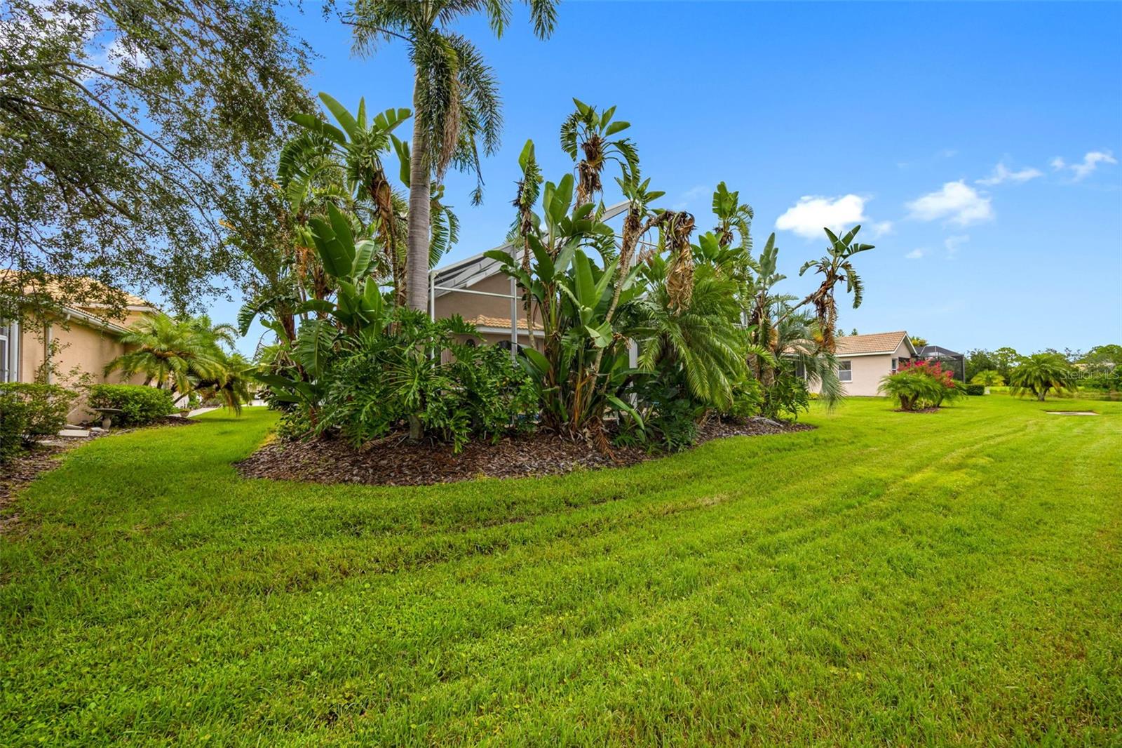 Image 39 of 45 For 7608 Teal Trace