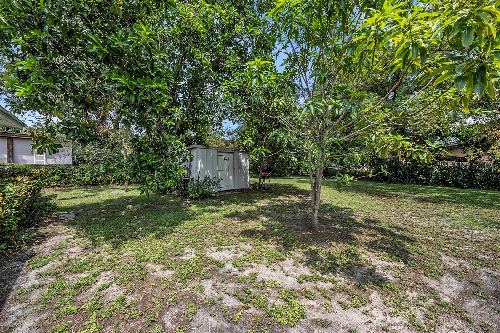 Image 18 of 21 For 207 Seneca Avenue