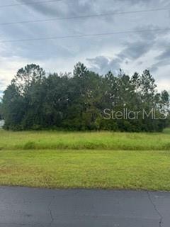 Details for 8225 Woodleaf Boulevard, WESLEY CHAPEL, FL 33544