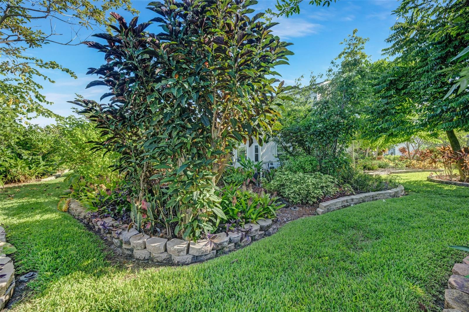 Listing photo id 55 for 2026 Chelam Way