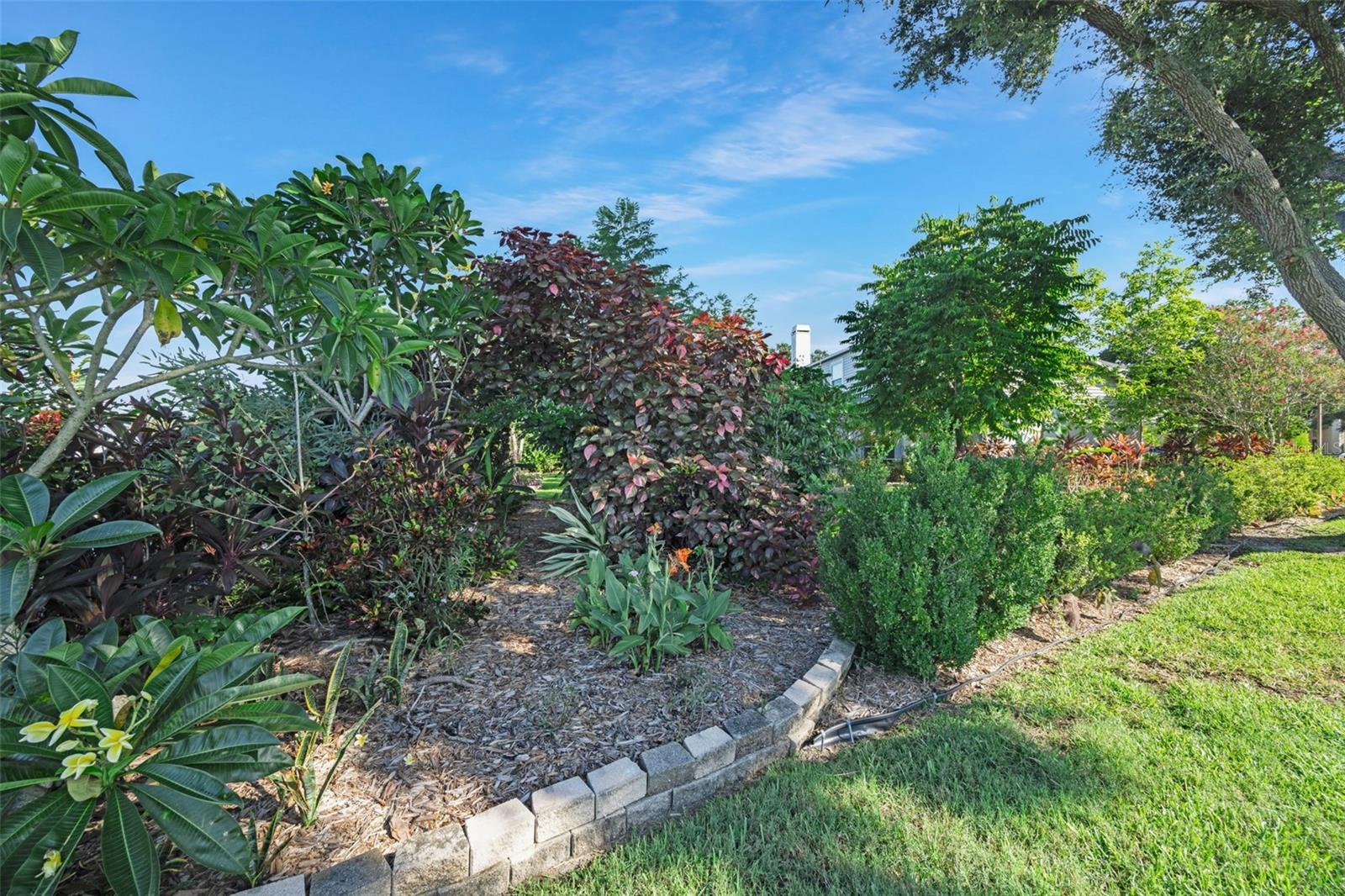 Listing photo id 56 for 2026 Chelam Way