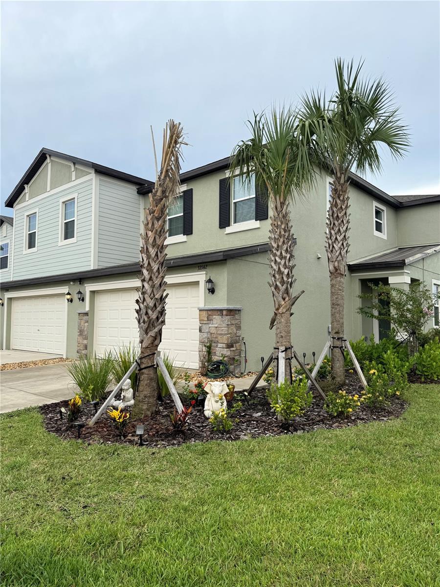 Image 10 of 54 For 32142 Spiceberry Street