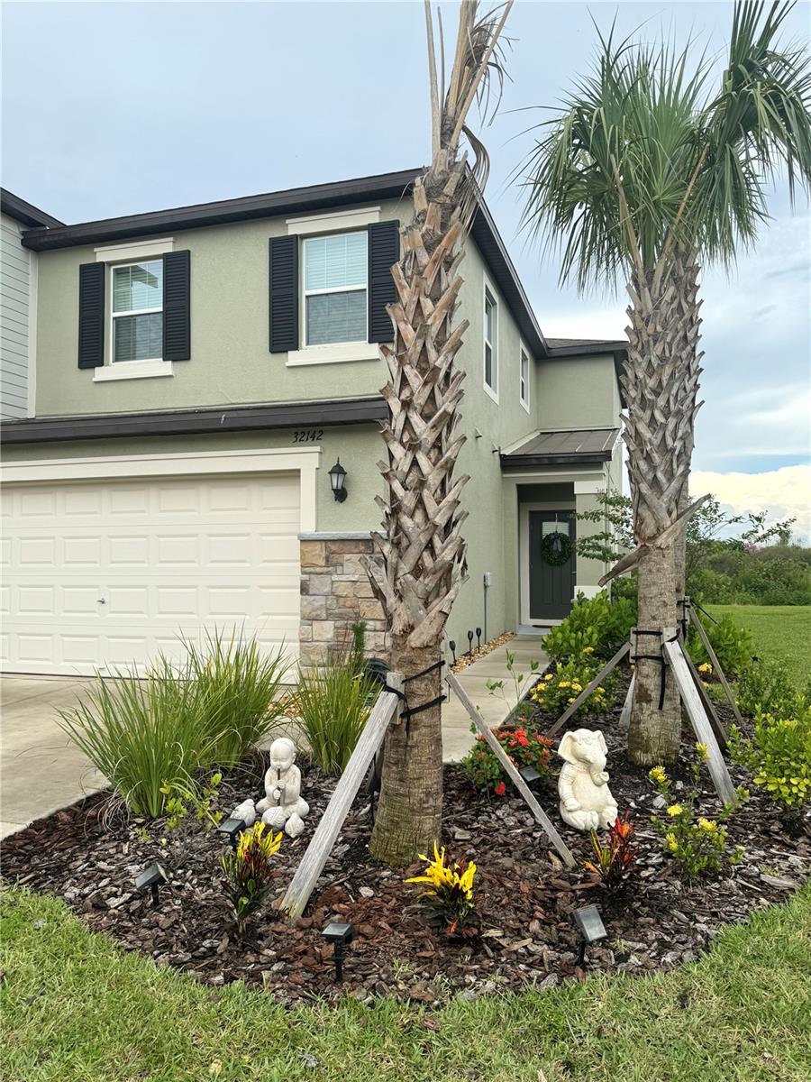 Image 3 of 54 For 32142 Spiceberry Street