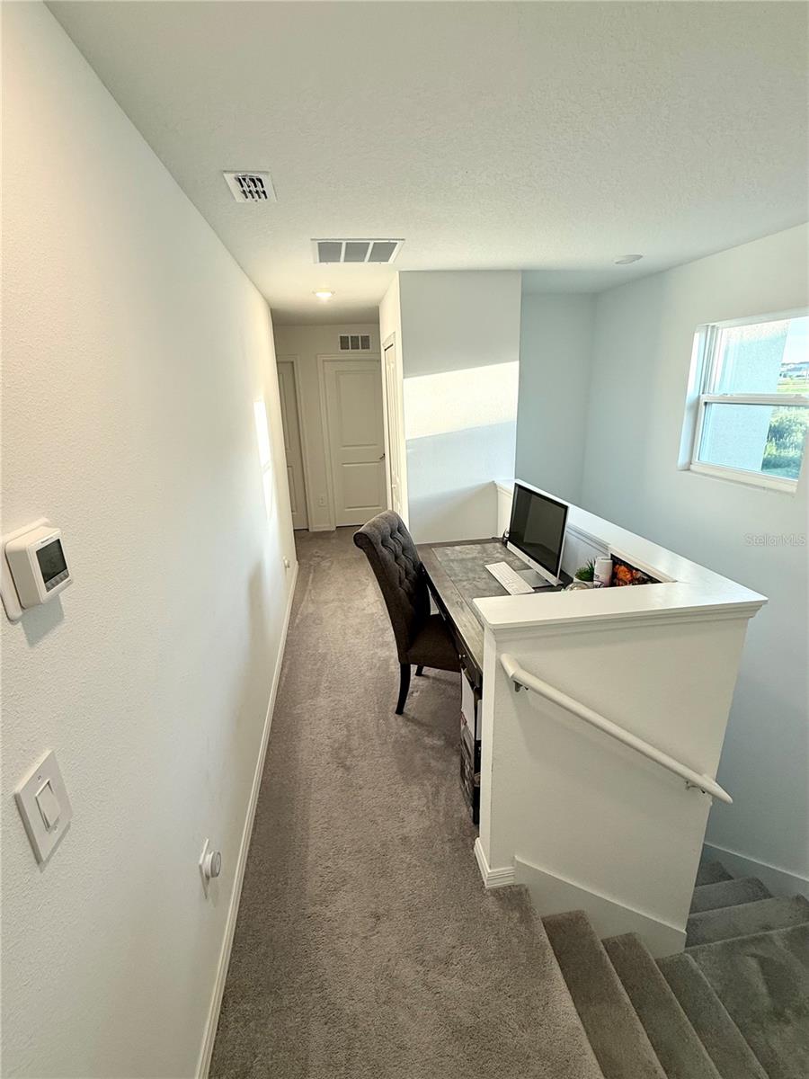 Image 36 of 54 For 32142 Spiceberry Street