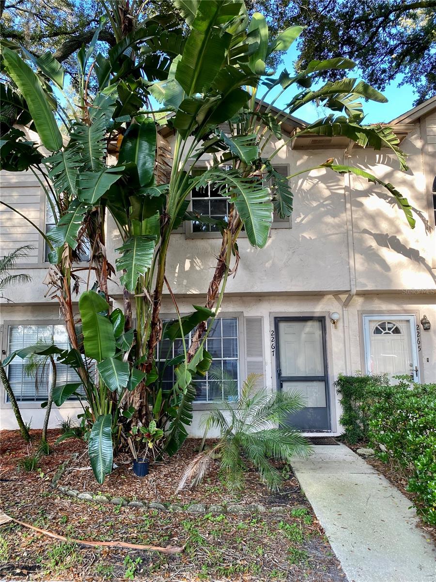 Details for 2267 Fletchers Point Circle, TAMPA, FL 33613