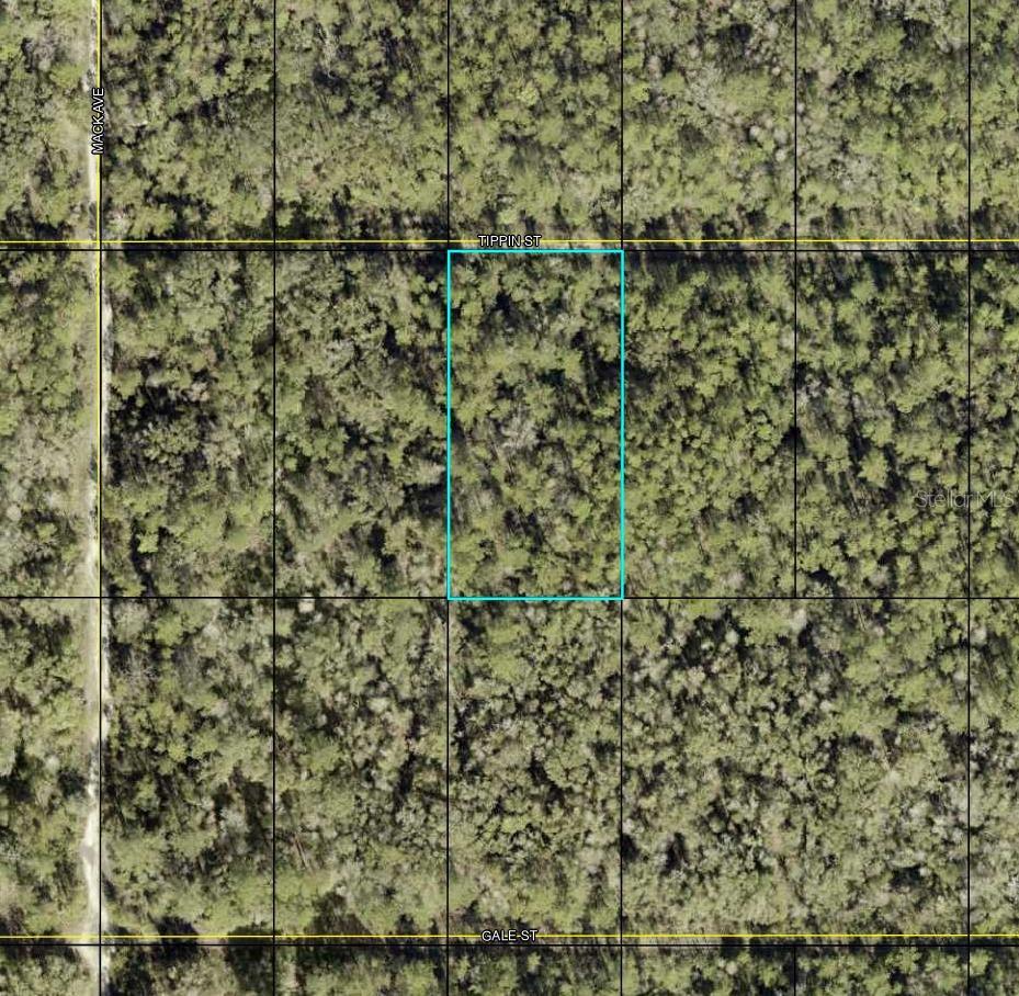 Details for Tbd Tippin Street, HASTINGS, FL 32145