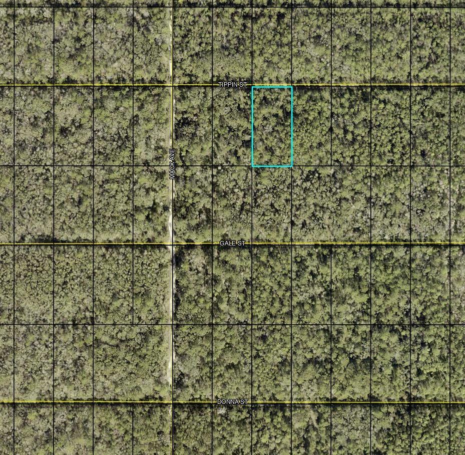 Image 2 of 2 For Tbd Tippin Street