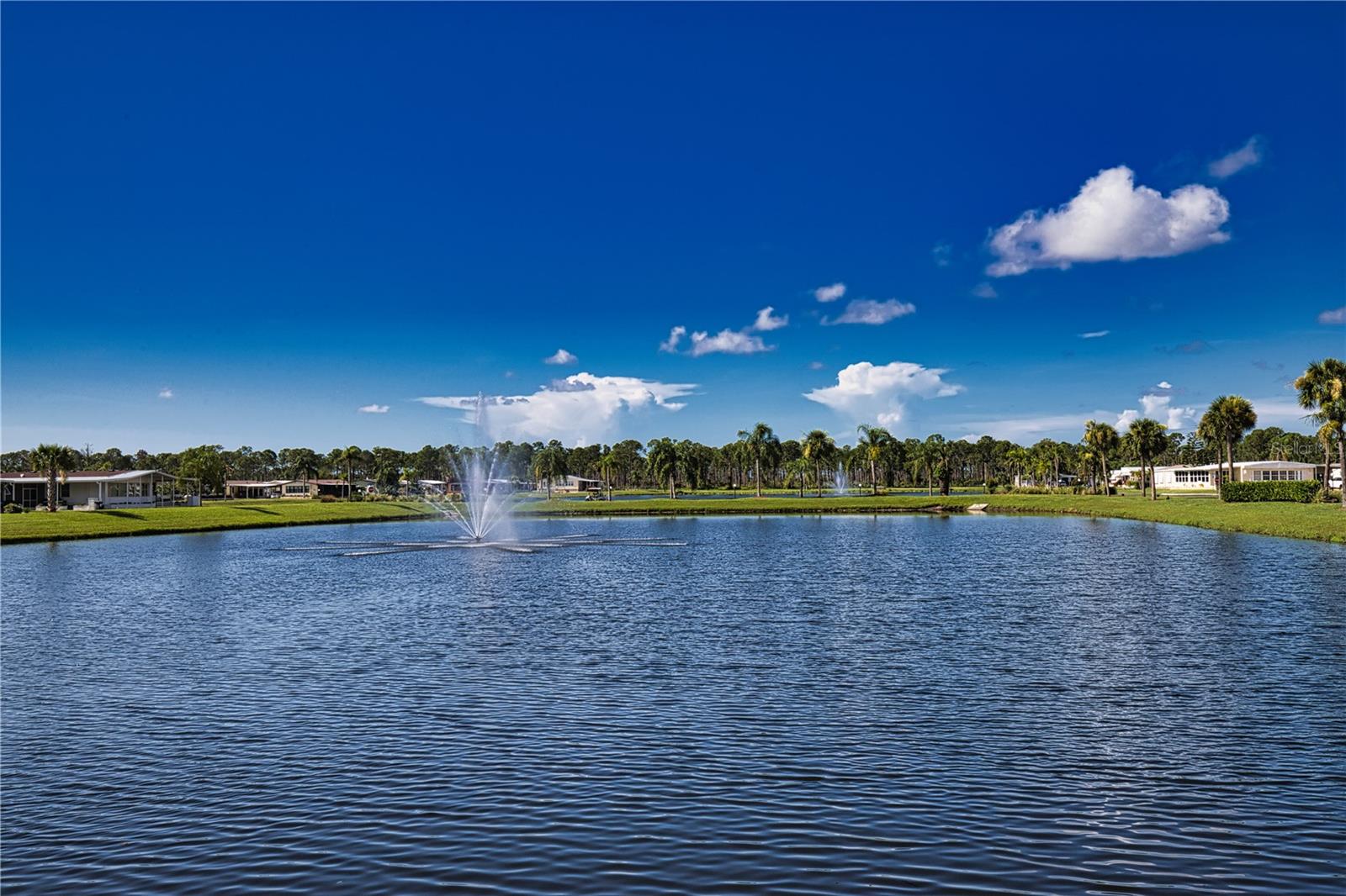 Image 64 of 81 For 233 El Prado