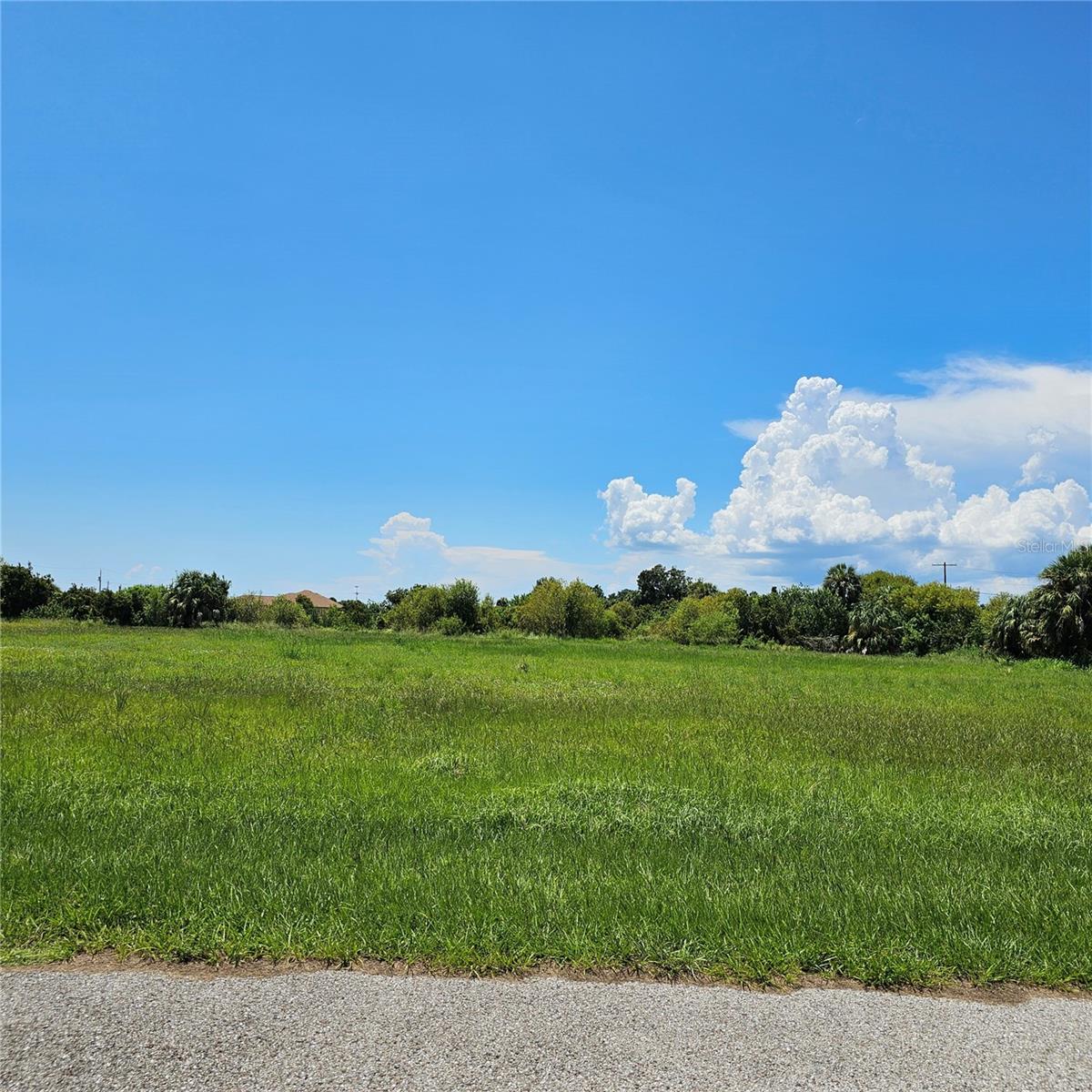 Details for Smilodon Trail, RUSKIN, FL 33570