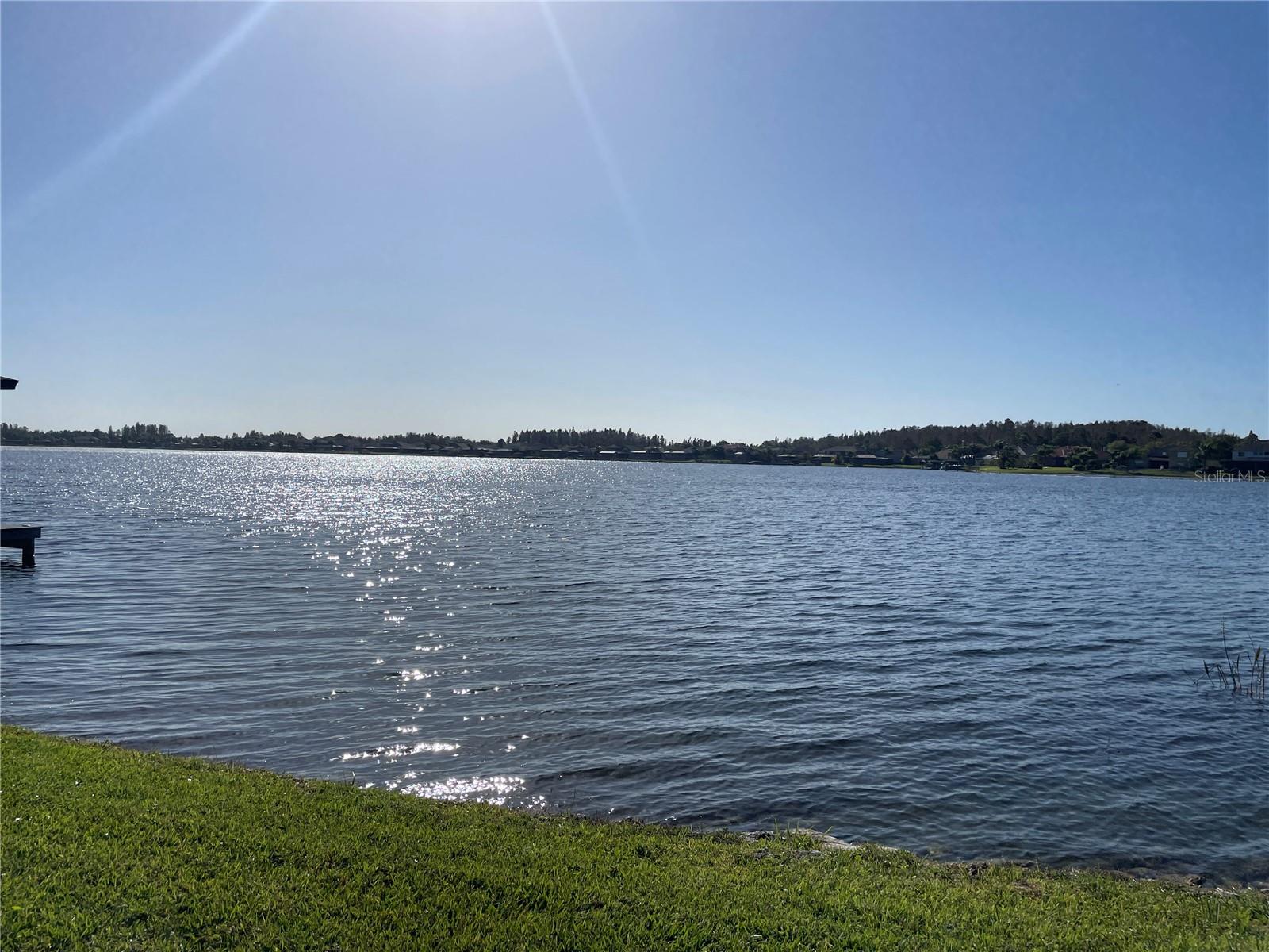 Image 43 of 45 For 16143 Ivy Lake Dr