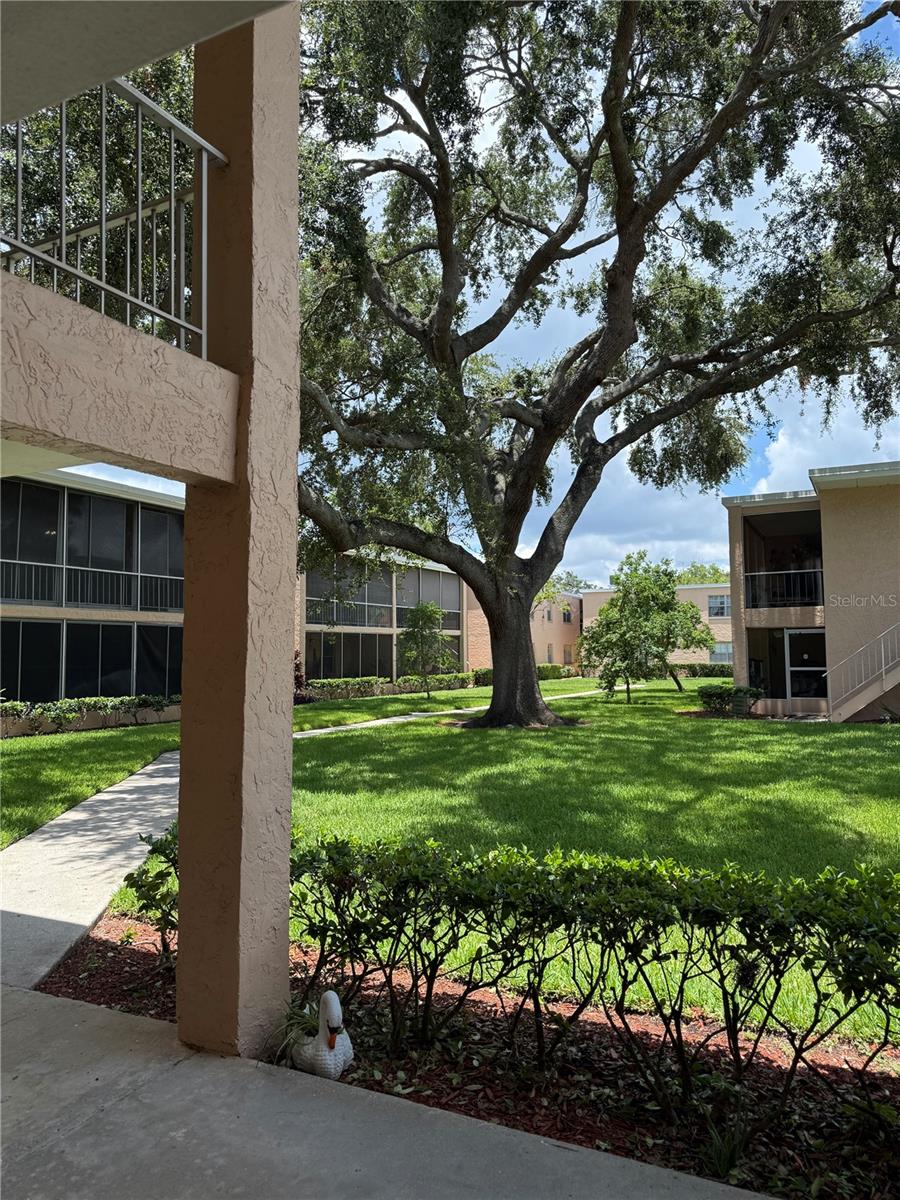 Details for 4702 Michael Court 139, TAMPA, FL 33614