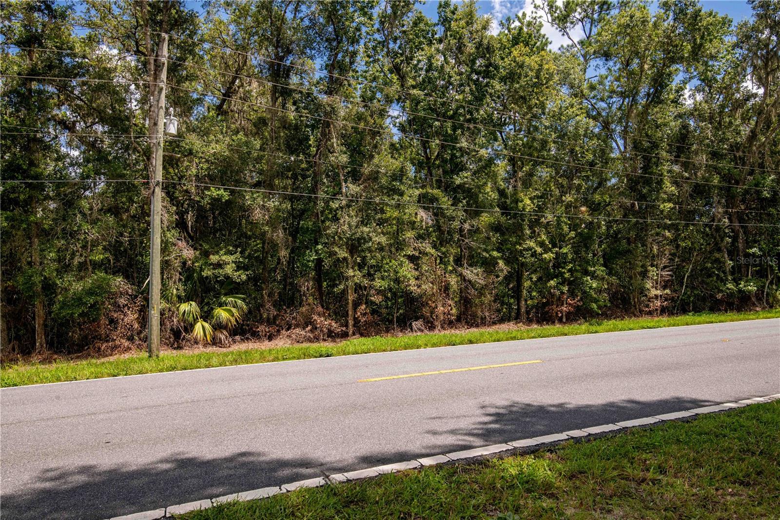 Image 12 of 13 For Cortez Boulevard