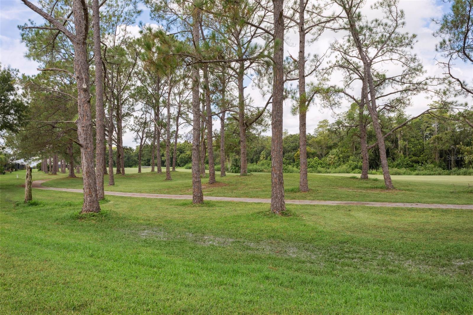 Image 29 of 30 For 16311 Rambling Vine Drive W