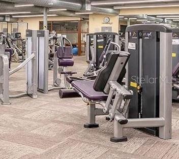 Image 36 of 56 For 2127 Hailstone Circle