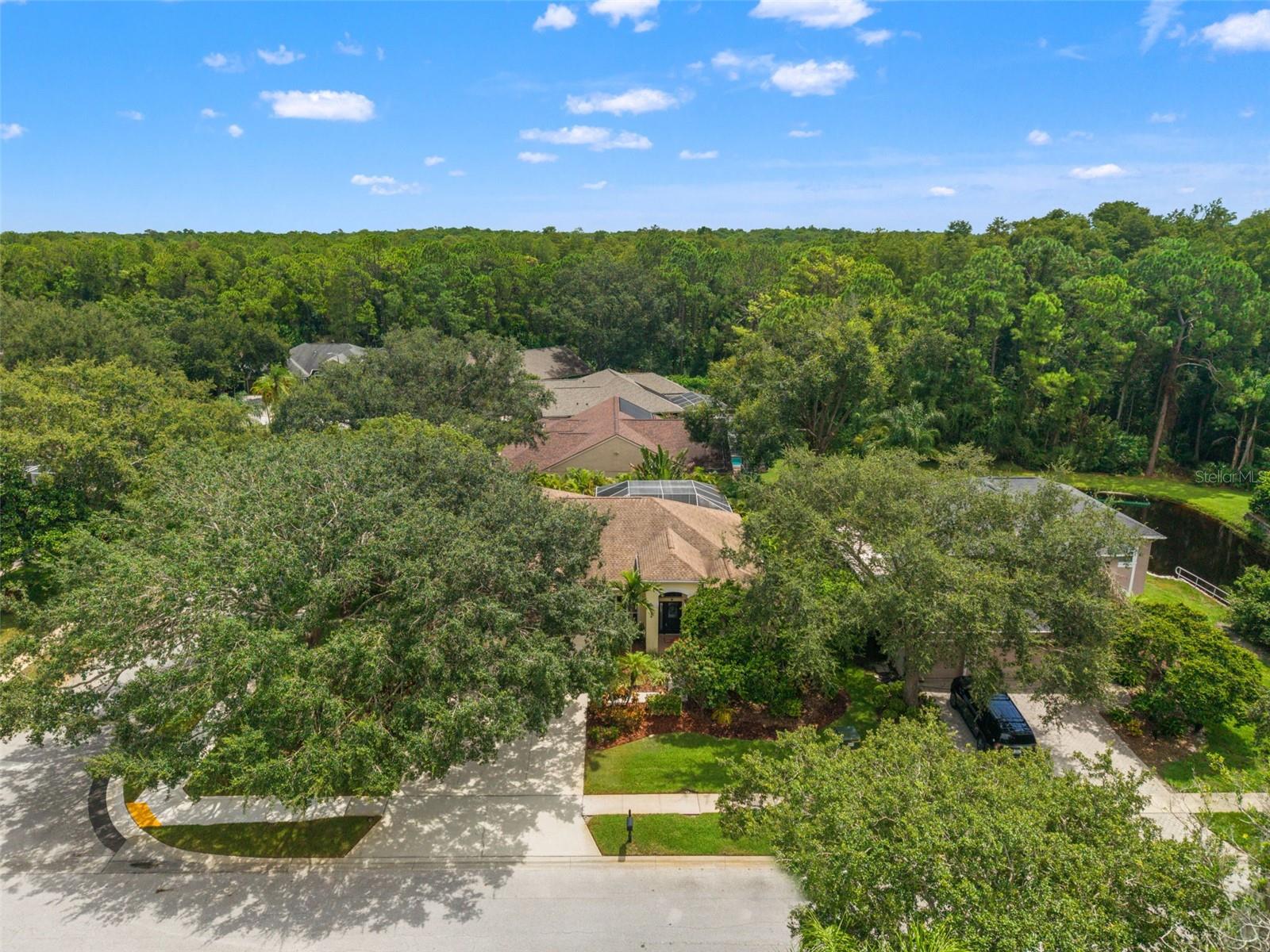 Image 60 of 74 For 4681 Ilex Court